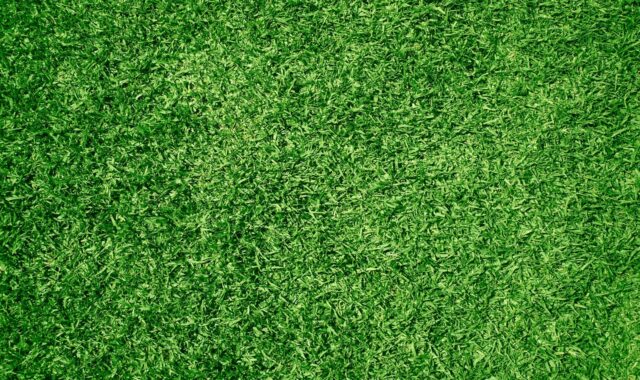 lawn, grass, nature, landscaping, wallpaper hd, artificial, yard, full hd wallpaper, cool backgrounds, mowed, green, backyard, front yard, 4k wallpaper, turf, desktop backgrounds, 4k wallpaper 1920x1080, synthetic, field, lush, verdant, hd wallpaper, texture, windows wallpaper, background, fertilised, free wallpaper, wallpaper 4k, growth, real estate, property, free background, beautiful wallpaper, land, laptop wallpaper, mac wallpaper, maintenance