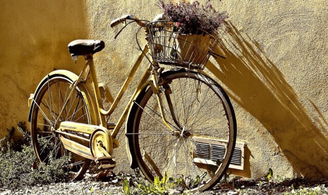 bike, bicycle, wheels, nature, bicycle wheels, beautiful flowers, flower wallpaper, basket, flowers, flower background, old bike, vehicle, transportation, yellow bike, yellow bicycle