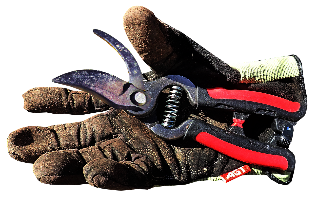 gardening, work, glove, equipment, household, tools, cut out, isolated