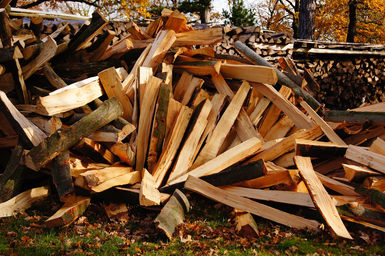 wood, wood trunks, laminated wood, tree, nature, fall
