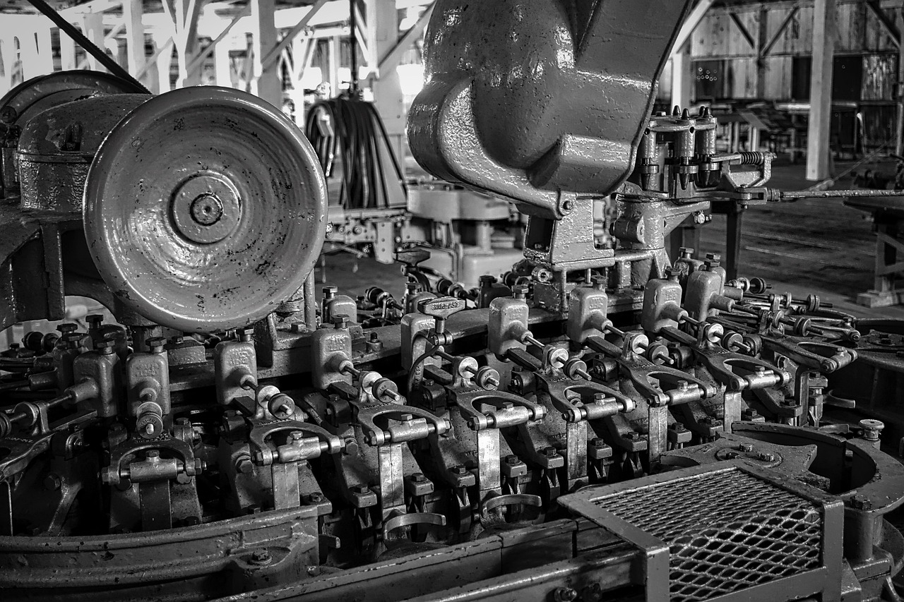 cannery, machine, factory, equipment, machinery, production, canning, industrial, gray industry, cannery, cannery, cannery, cannery, cannery, factory, machinery, machinery, machinery, industrial, industrial, industrial