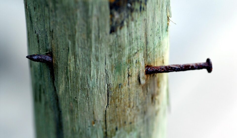 tip, oxide, trunk, nail, nail, nail, nail, nail, nail