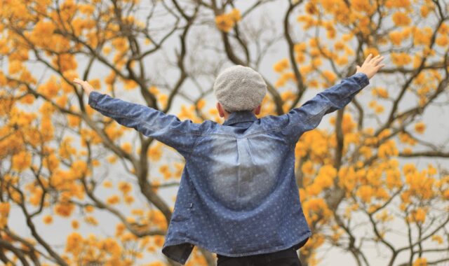 yellow ipe, winter, brazil, kid, happy, joy, fall, fun, back view, demin