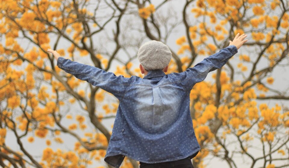 yellow ipe, winter, brazil, kid, happy, joy, fall, fun, back view, demin