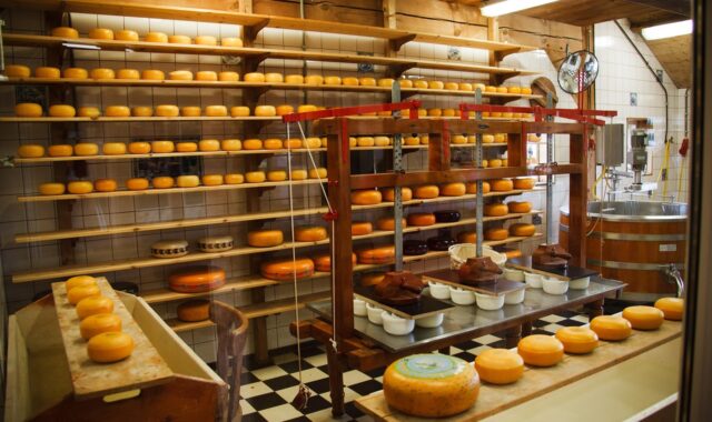 cheese, clean, commercial, dairy, equipment, factory, food, nature, industrial, industry, make, manufacture, metal, milk, plant, process, production, round, steel, tank, technology, brown food, brown technology, brown plant, brown plants, brown metal, brown clean, brown industry