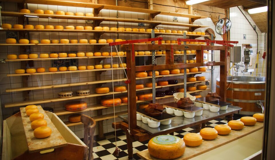 cheese, clean, commercial, dairy, equipment, factory, food, nature, industrial, industry, make, manufacture, metal, milk, plant, process, production, round, steel, tank, technology, brown food, brown technology, brown plant, brown plants, brown metal, brown clean, brown industry