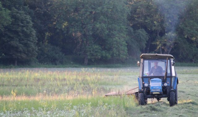 harvest, nature, hay making, grass cutting, tractor, old, agriculture, meadow, cut, machine, summer, hay