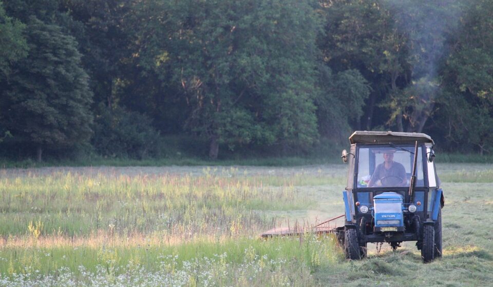 harvest, nature, hay making, grass cutting, tractor, old, agriculture, meadow, cut, machine, summer, hay