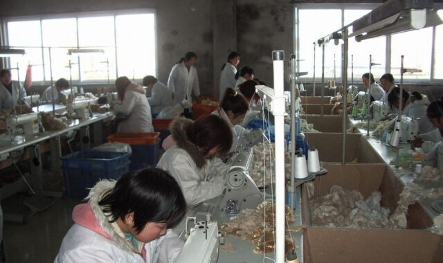 worker, factory, sewing, machine, people, worker, factory, factory, factory, factory, sewing, sewing, sewing, sewing, sewing