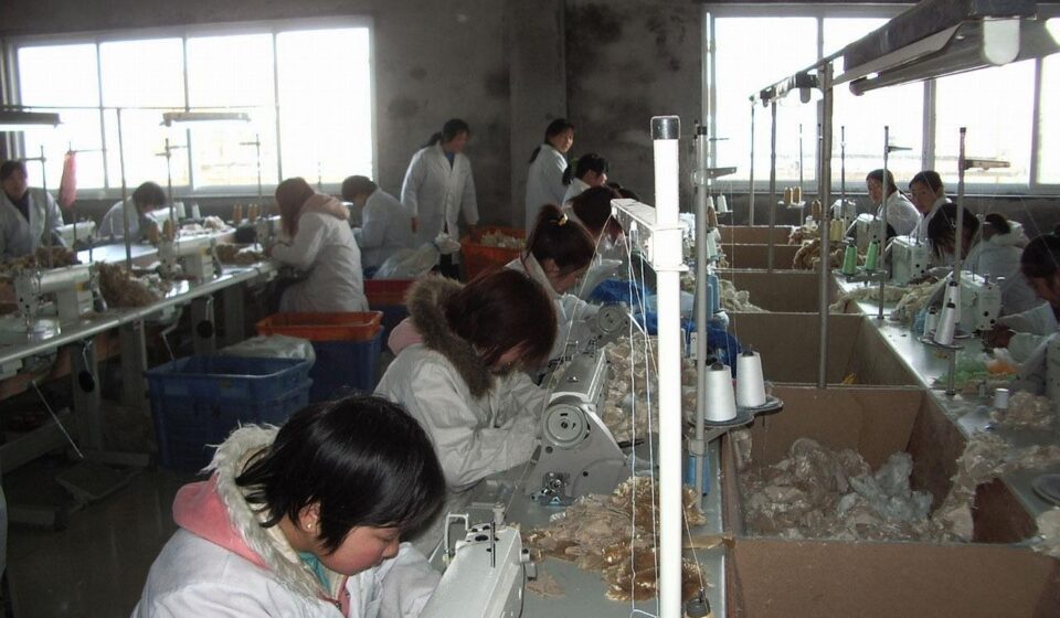 worker, factory, sewing, machine, people, worker, factory, factory, factory, factory, sewing, sewing, sewing, sewing, sewing