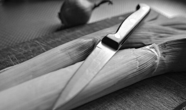 knife, blade, steel, point, tip, edge, handle, shiny, cutting, vegetable, leek, onion, cutting board, kitchen, preparation, cooking, meal