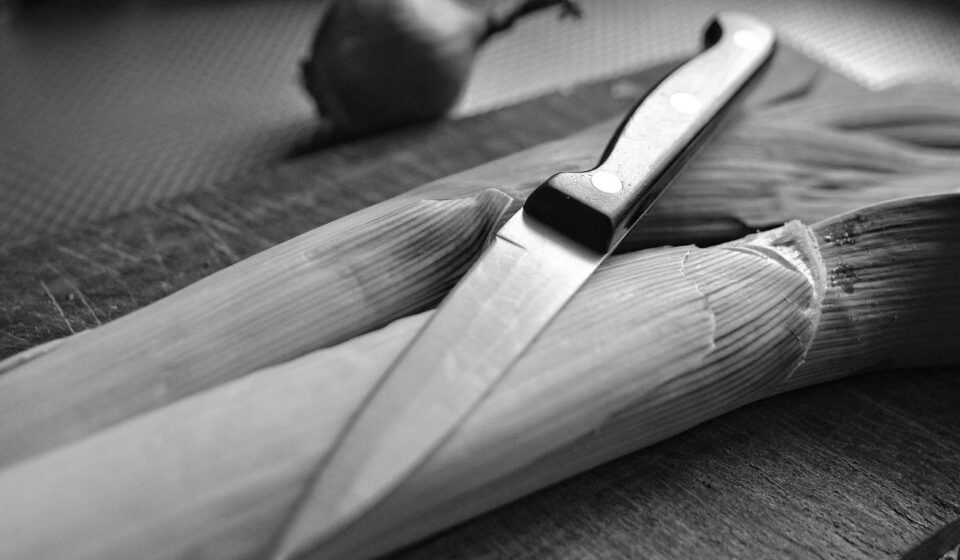 knife, blade, steel, point, tip, edge, handle, shiny, cutting, vegetable, leek, onion, cutting board, kitchen, preparation, cooking, meal
