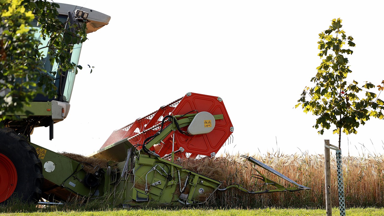 harvest, combine harvester, agriculture, grain, agricultural machine, harvester, nourishment, grain field, claas, fields, straw, field, cutting tool