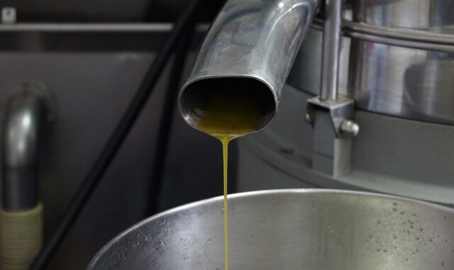 olive oil, production, manufacture, factory, agriculture, processing, virgin, machine, extraction, steel, olive, green, mill, food, oil, olive oil, olive oil, olive oil, olive oil, olive oil, extraction, extraction, extraction, extraction