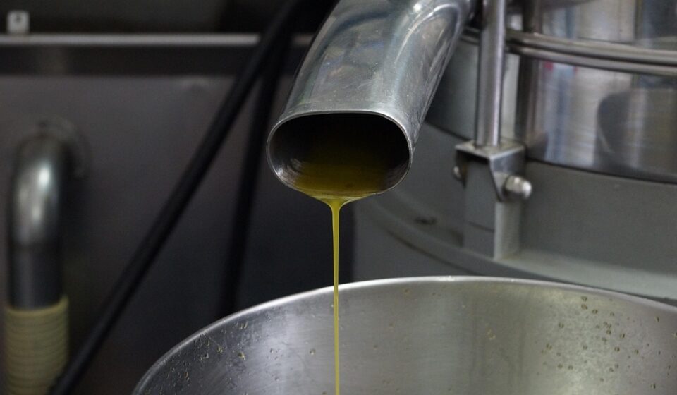 olive oil, production, manufacture, factory, agriculture, processing, virgin, machine, extraction, steel, olive, green, mill, food, oil, olive oil, olive oil, olive oil, olive oil, olive oil, extraction, extraction, extraction, extraction