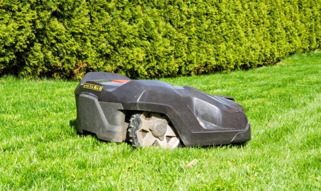 grass, lawn, summer, nature, garden, landscape, plant, equipment, lawn mower, robotic lawnmower, robot, garden maintenance, green, gardening, rural, environment, exterior, hedge