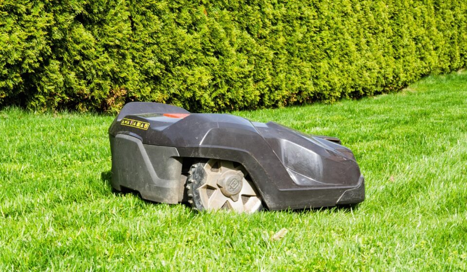 grass, lawn, summer, nature, garden, landscape, plant, equipment, lawn mower, robotic lawnmower, robot, garden maintenance, green, gardening, rural, environment, exterior, hedge