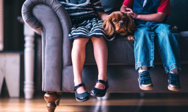 children, dog, pet, cute, animal, footwear, girl, boy, kids, people, shoes, sitting, sofa