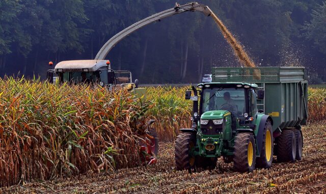 corn harvest, combine harvester, tractor, harvester, agricultural machinery, harvest time, harvest, fields, field, cornfield, agriculture, corn, corn harvest, corn harvest, corn harvest, corn harvest, corn harvest, combine harvester, combine harvester, combine harvester, combine harvester, combine harvester, corn, corn, corn, corn