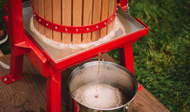apple cider, cider making, cider press, homemade, apples, fruit juice, fruits, autumn, seasonal fruits, apple cider, apple cider, apple cider, apple cider, apple cider, cider making, cider press