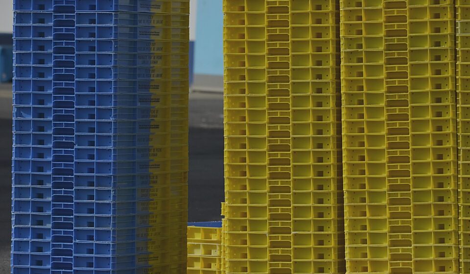 crates, plastic, stacking, colors, dock, yellow, blue, factory, shouted, crates, factory, shouted, shouted, shouted, shouted, shouted