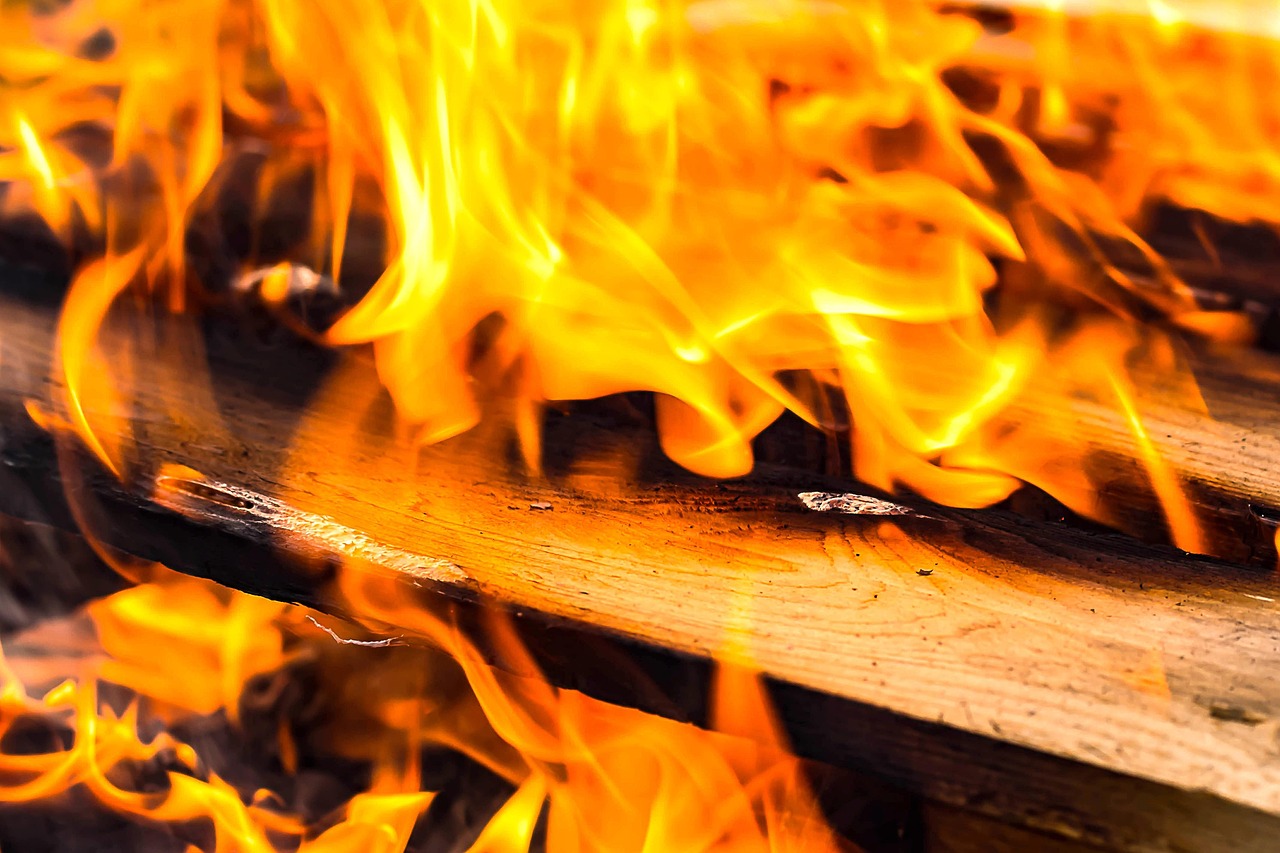 fire, wood, flame, campfire, adventure, burn, fireplace, smoke, embers, boards, glowing, blaze, heat, burning, fire, fire, fire, fire, fire, fireplace, smoke, smoke