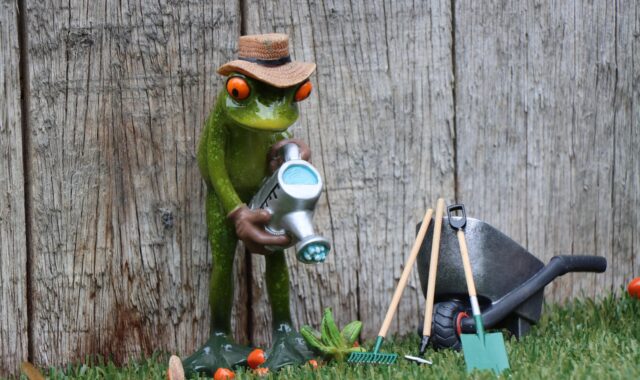 casting, gardening, gardener, garden service, garden maintenance, work, workplace, spade, put, nature, watering can, garden subscription, horticulture, plants
