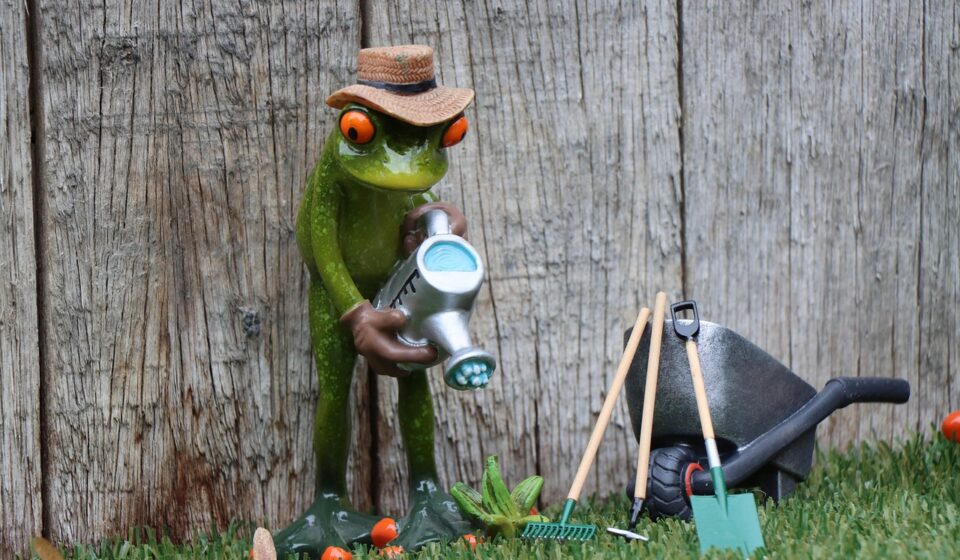 casting, gardening, gardener, garden service, garden maintenance, work, workplace, spade, put, nature, watering can, garden subscription, horticulture, plants