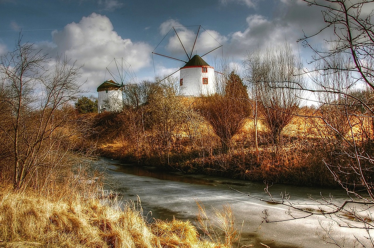 mill, gifhorn, museum, mill museum, mill, mill, mill, mill, mill, museum, museum, museum, museum, museum