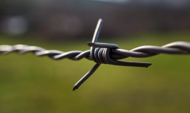 barbed wire, wire, fence, knot, barb wire, steel, barrier, security, boundary, closeup, barbed wire, knot, knot, knot, knot, knot, barrier, barrier, boundary