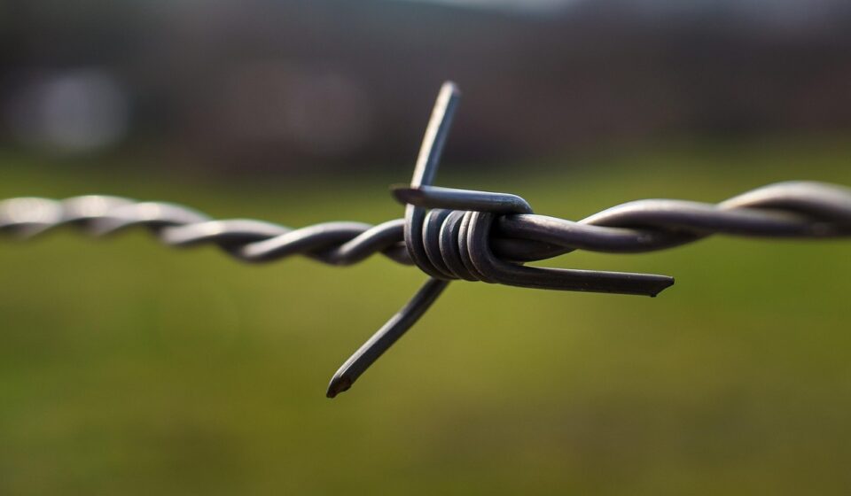 barbed wire, wire, fence, knot, barb wire, steel, barrier, security, boundary, closeup, barbed wire, knot, knot, knot, knot, knot, barrier, barrier, boundary