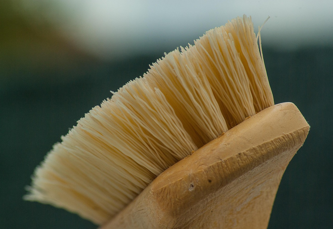 brush, cleaning, housework, maintenance, washing, cleaning, cleaning, cleaning, cleaning, cleaning
