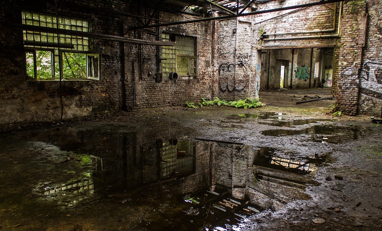 abandoned, factory hall, lost places, reflections, reflection, nature, factory, factory building, expired, industry, ruin, pforphoto, water, puddle, industrial plant, transience
