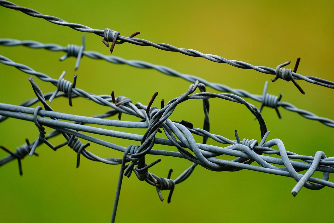 barbed wire, fence, wire fence, barbed wire, barbed wire, barbed wire, barbed wire, barbed wire