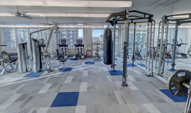fitness, gym, active, workout, training, fit, healthy, athlete, muscles, lifestyle, gray fitness, gray gym, gray training, gray healthy, gray workout, gym, gym, gym, gym, gym