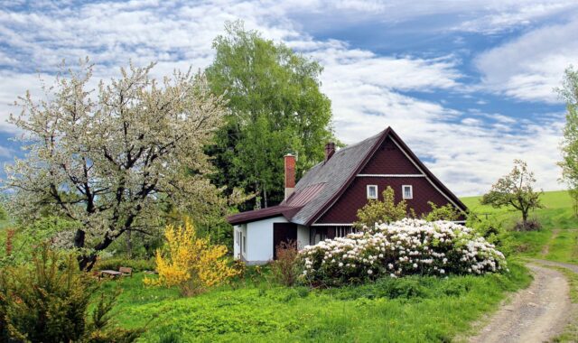 cottage, trees, path, trail, house, home, garden, grass, landscape, secluded, nature, cottage, house, house, house, house, house, home, home, home, garden, garden, garden, garden