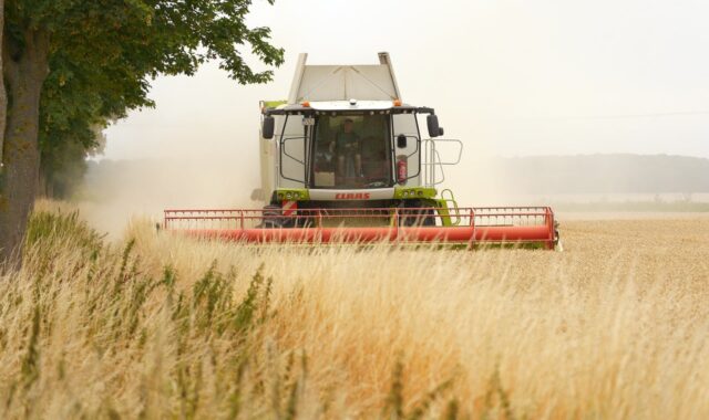 combine harvester, agriculture, harvest, grain, panasonic, lumix, wetterau, hesse, germany, claas
