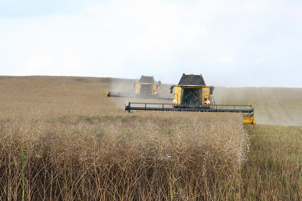 mower, oilseed rape, agriculture, landscape, farm, field, agriculture, agriculture, agriculture, agriculture, agriculture