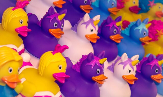 duck, bath duck, squeaky duck, rubber duck, fun, multicoloured, unicorn, to bathe, figure, bathing fun, rubber duckies, to play, bath, rubber duck, unicorn, unicorn, unicorn, unicorn, unicorn