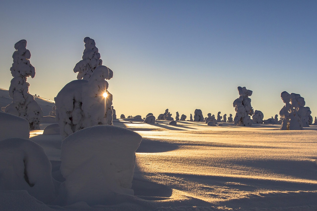 lapland, winter, snow, landscape, wintry, finland, cold, snowy, snow landscape, winter mood, nature, trees, sunshine, winter dream, snow load, frost, snow covered, lapland, lapland, winter, snow, finland, finland, finland, finland, finland